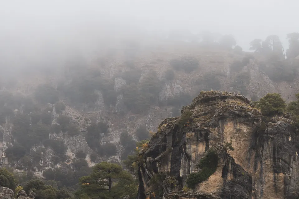 Paisaje de la Sierra de Cazorla con montañas y bosque