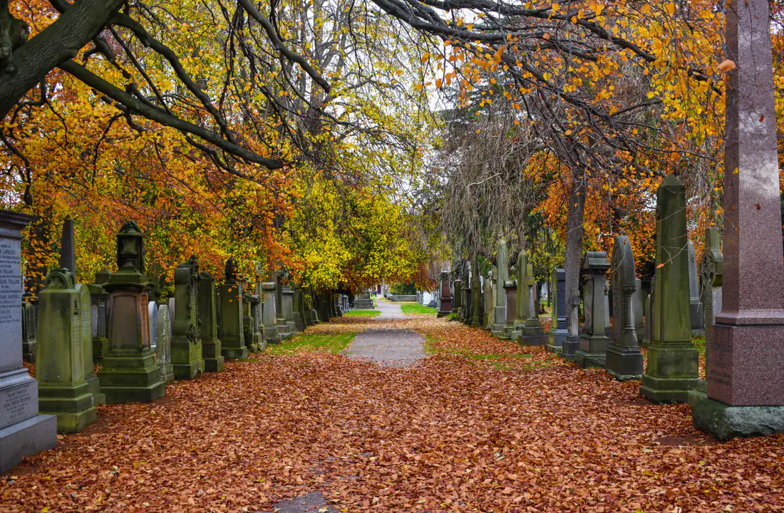 Paseo otoñal en Edimburgo en octubre