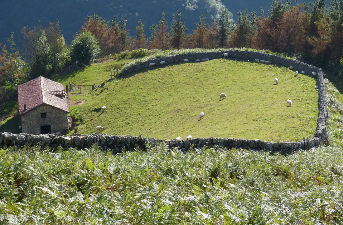 Paisaje verde de Navarra para viajar en octubre a la Selva de Irati
