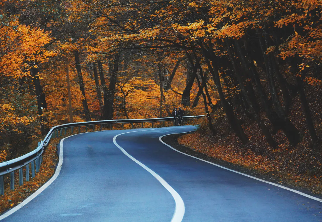 Carretera rodeada de árboles en otoño