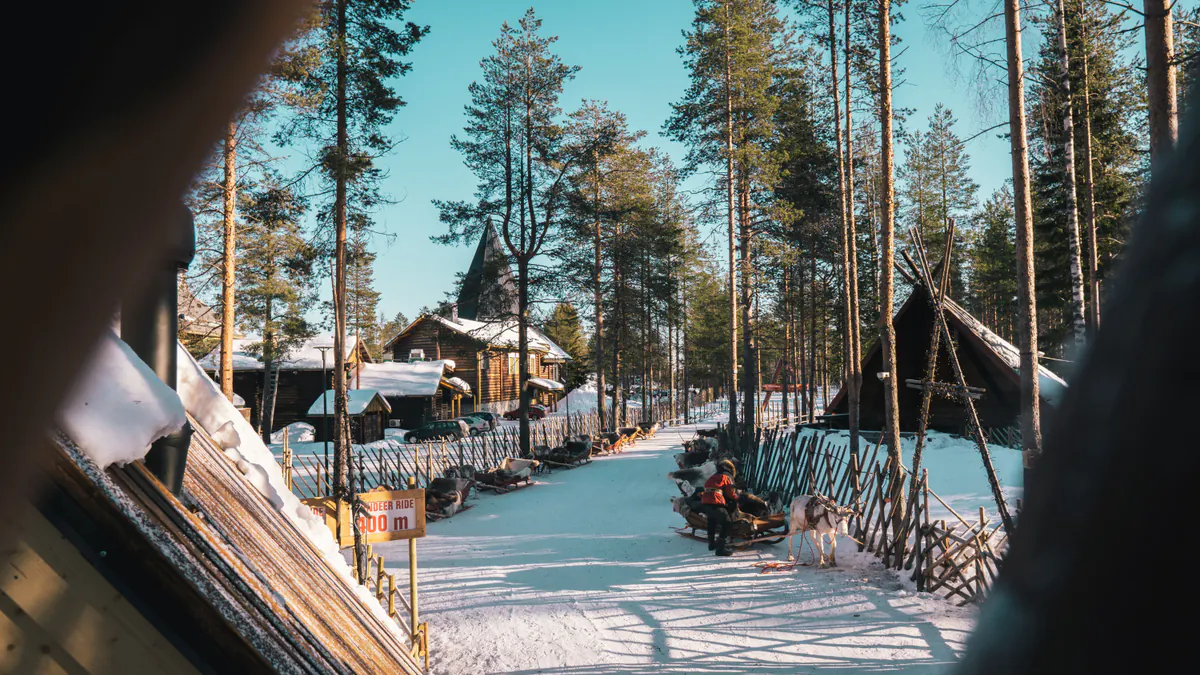 Renos y trineos en un bosque nevado de Rovaniemi, en Laponia